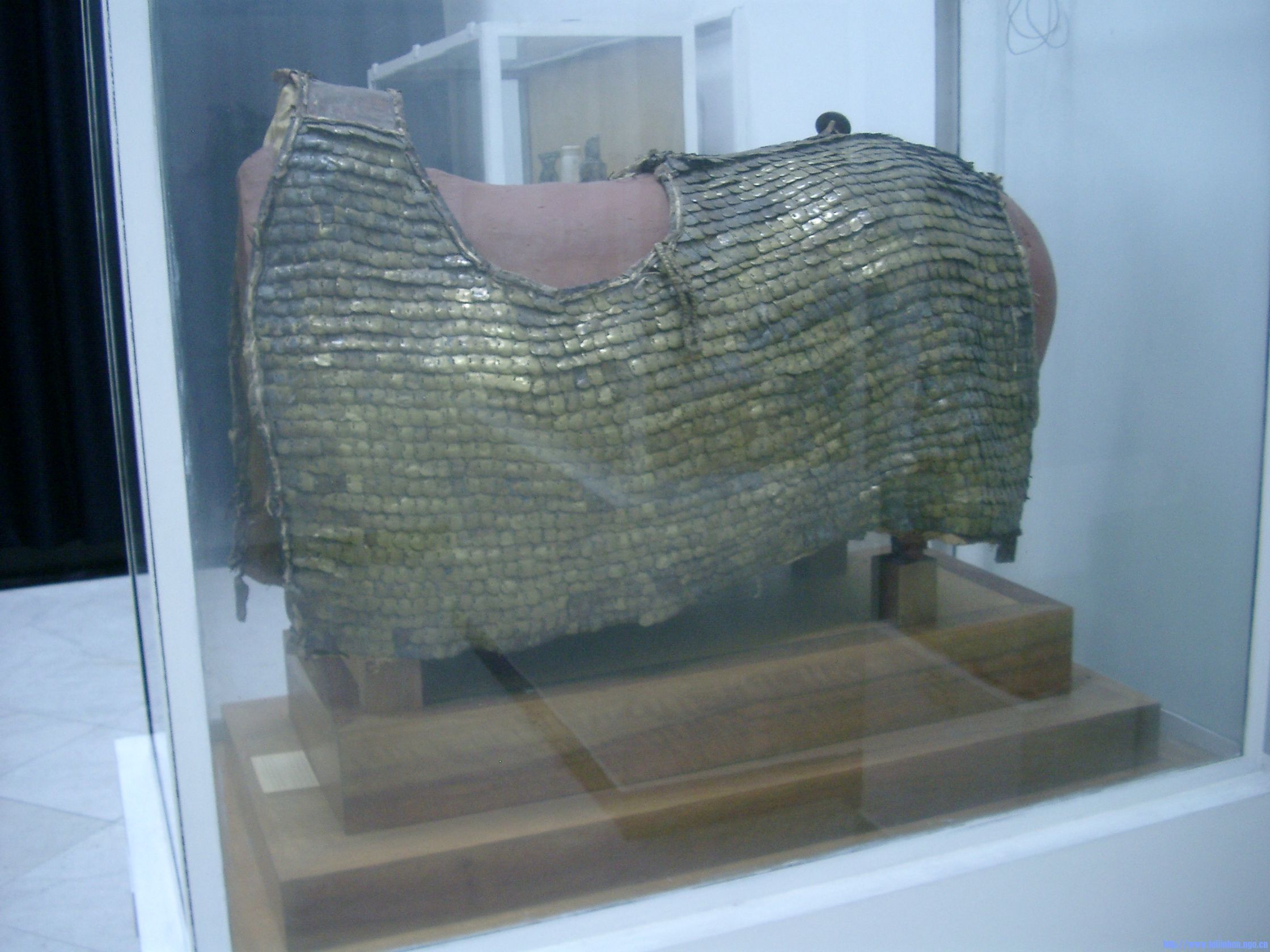 imgp1085.jpg