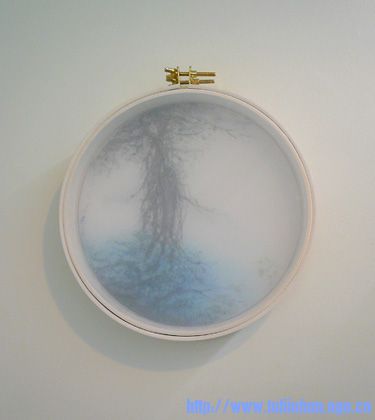 A Thicket.jpg
