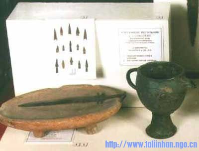 image_06.jpg
