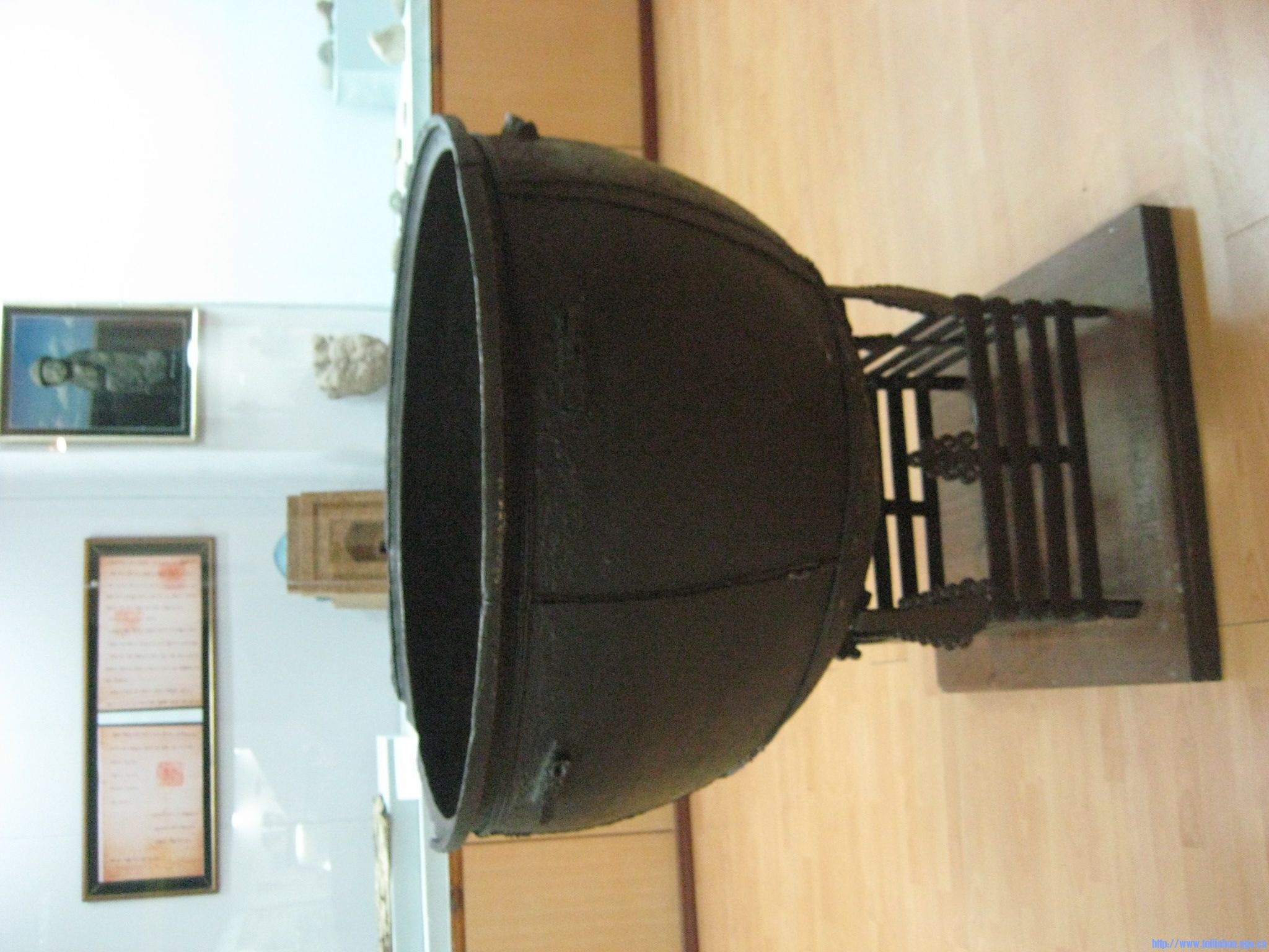 IMG_5231.jpg