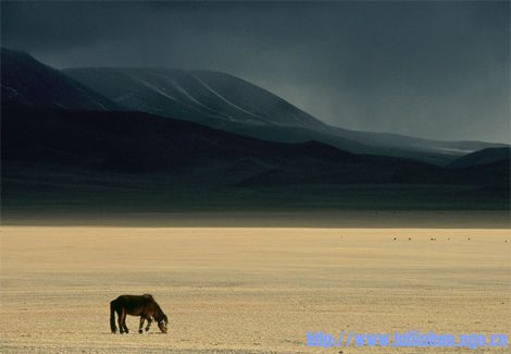 mongolian-steppe-737086-ga.jpg