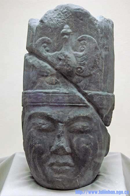 1295436.jpg