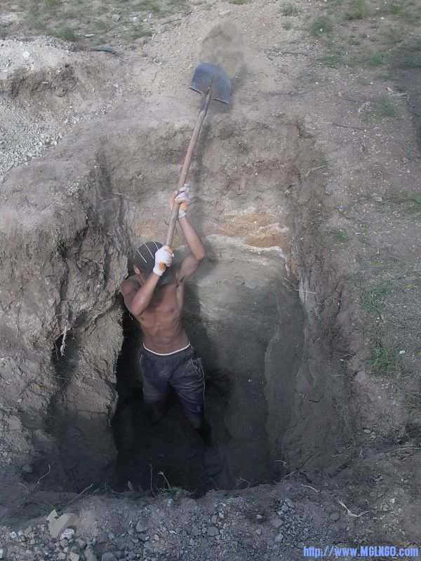 49.jpg