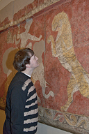hm11_5_62_3.jpg