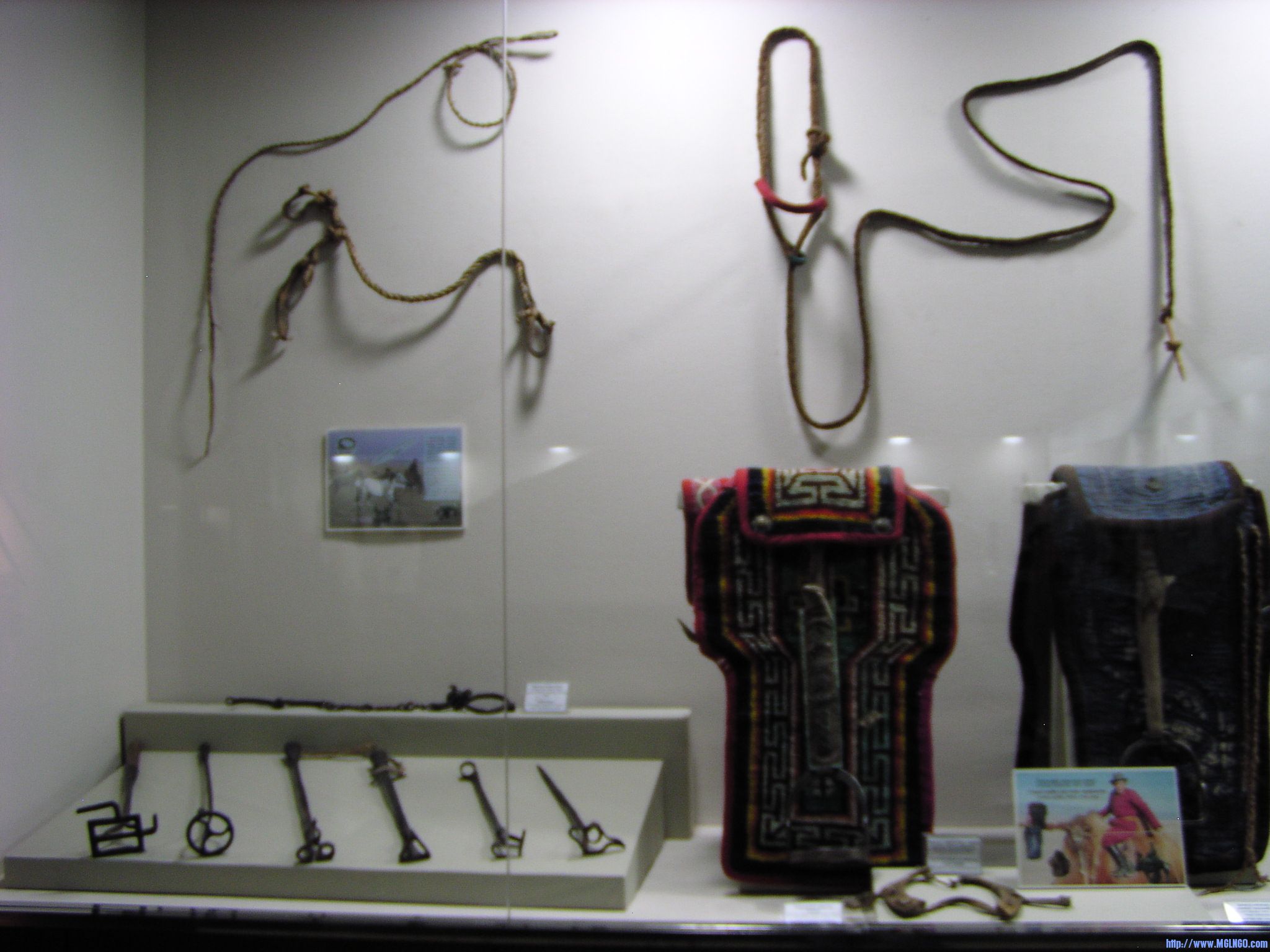P1010065.JPG