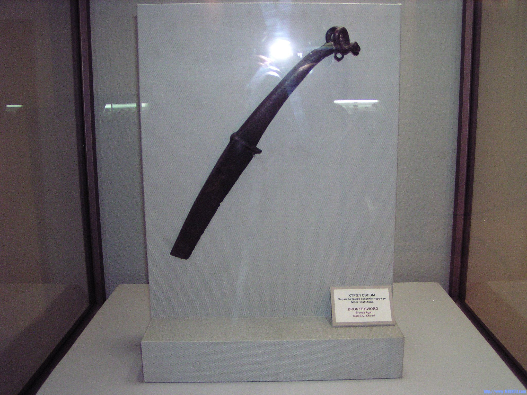 P1010025.JPG