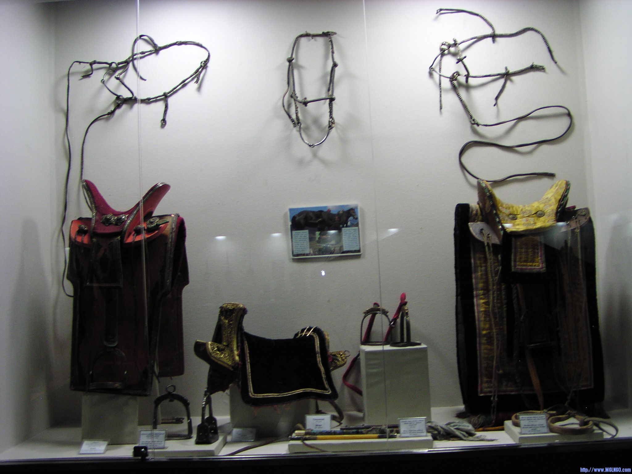 P1010066.JPG