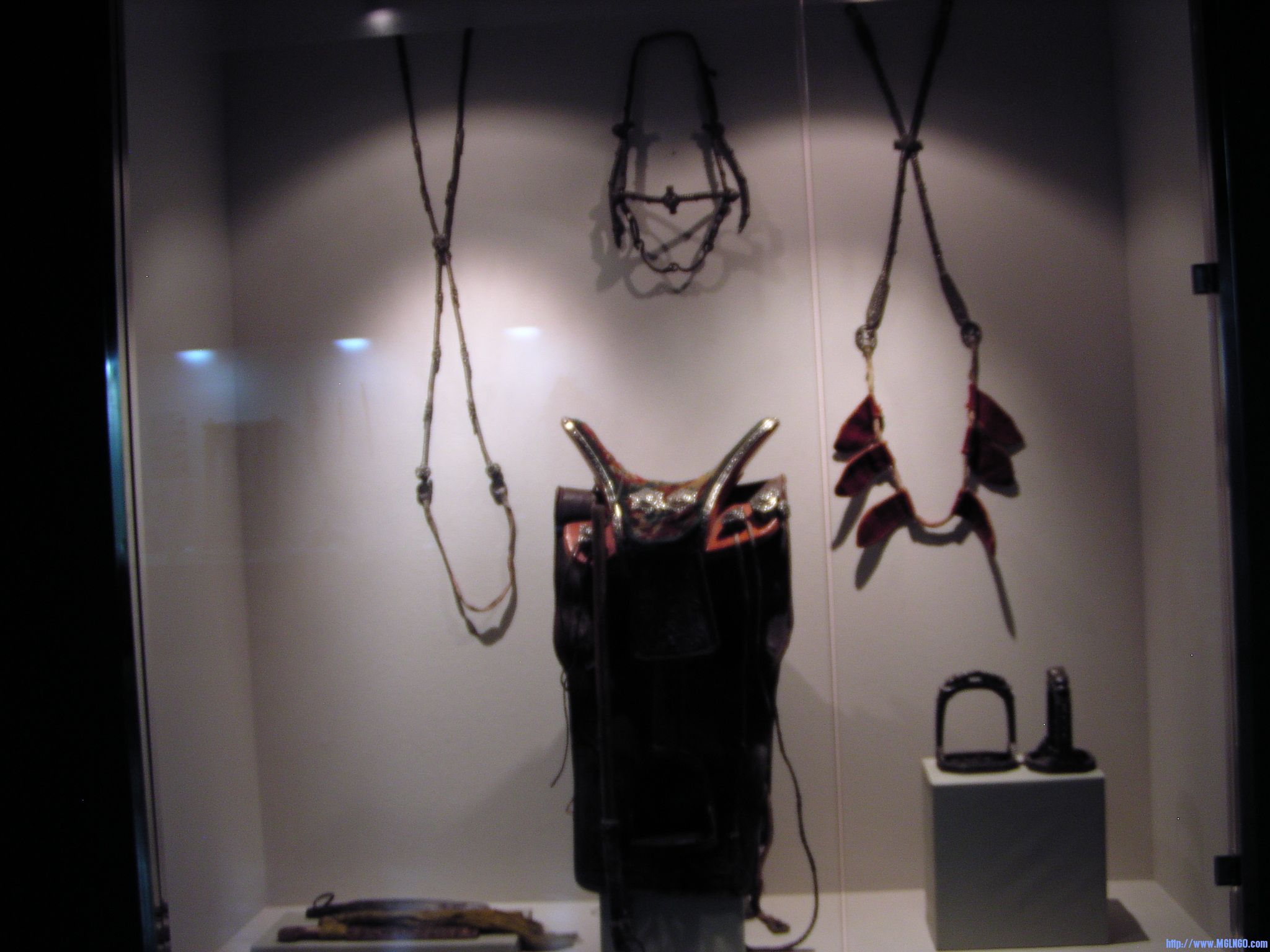 P1010067.JPG