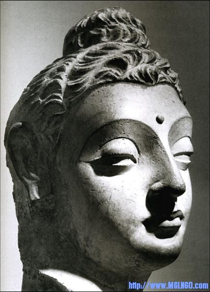 15b.jpg
