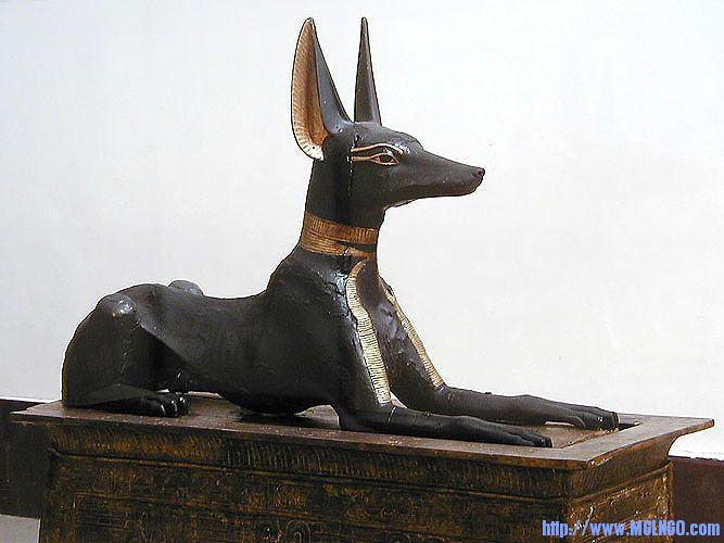 Anubis-Tutanhkamunͼ̹����.jpg