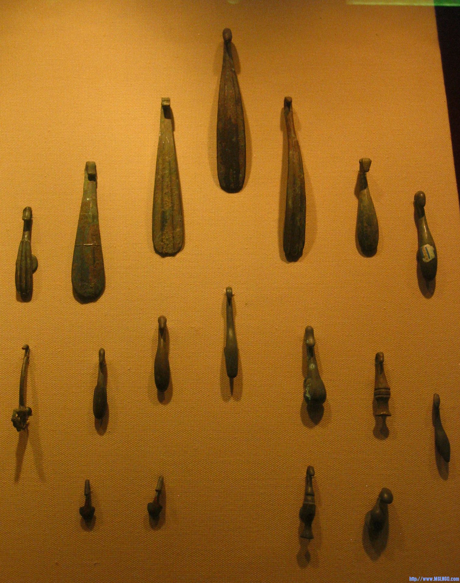 z5.jpg