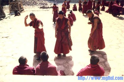 wolf_kahlen_occupation_lama.jpg