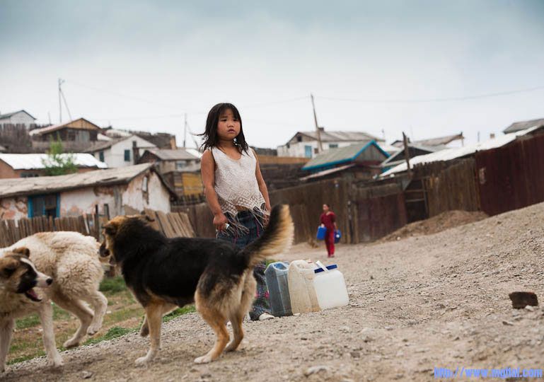 mongolia-trafficking15.jpg