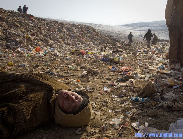 Mongolians Fight Survival Extreme Cold _wXW9lhteGel.jpg