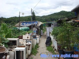 DSC05832.JPG