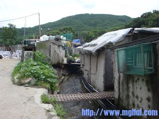 DSC05822.JPG
